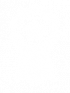 Taxi Transportation